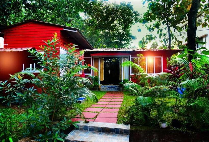 Szálloda Mika Mocha