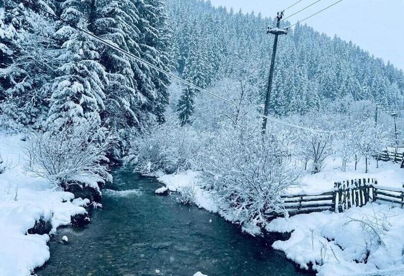 ペンション Cabana Loredana