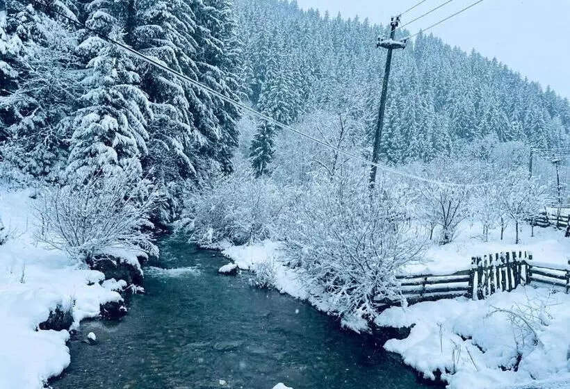 ペンション Cabana Loredana