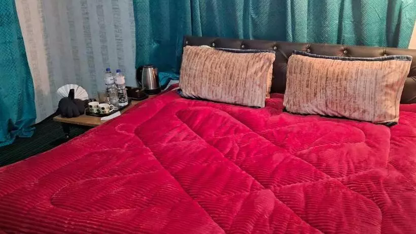 ペンション Conifer View Guest House