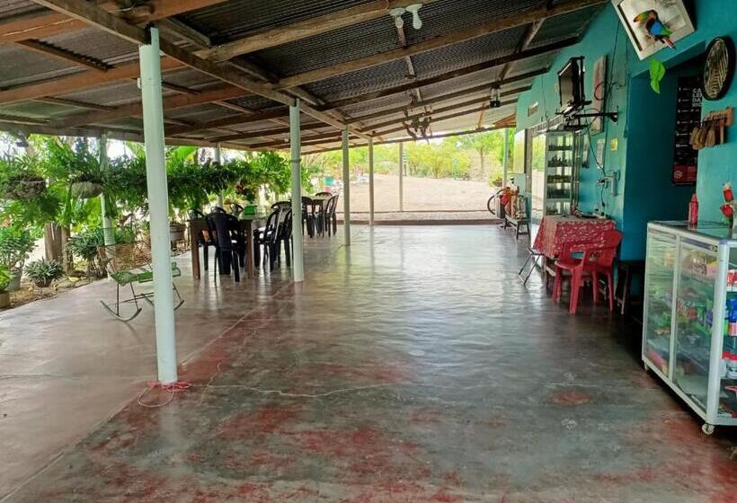 Пансион Hostal Sol De Verano Doña Lilia