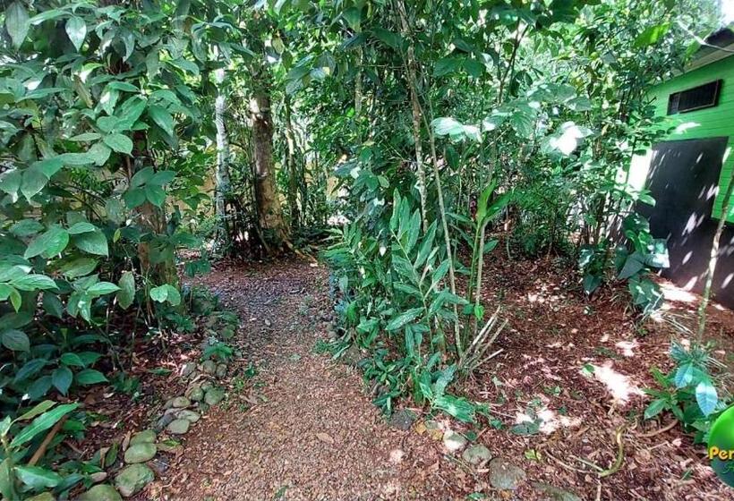 ペンション Perla Verde, Hostel Sarapiquí A Lodging In The Middle Of Nature