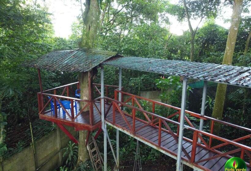 ペンション Perla Verde, Hostel Sarapiquí A Lodging In The Middle Of Nature