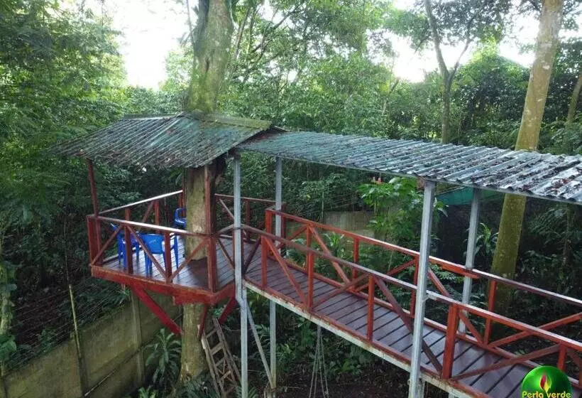 ペンション Perla Verde, Hostel Sarapiquí A Lodging In The Middle Of Nature