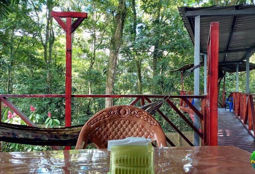 ペンション Perla Verde, Hostel Sarapiquí A Lodging In The Middle Of Nature