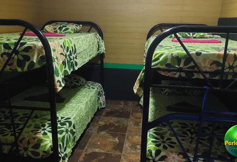 ペンション Perla Verde, Hostel Sarapiquí A Lodging In The Middle Of Nature