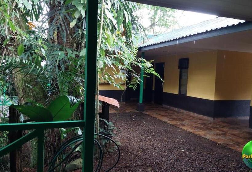 ペンション Perla Verde, Hostel Sarapiquí A Lodging In The Middle Of Nature
