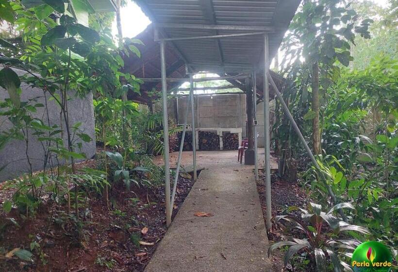 ペンション Perla Verde, Hostel Sarapiquí A Lodging In The Middle Of Nature