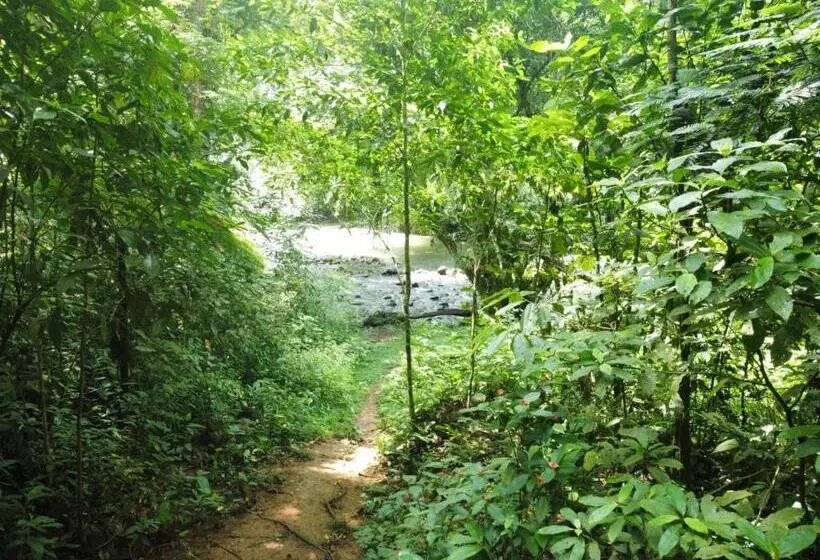 ペンション Perla Verde, Hostel Sarapiquí A Lodging In The Middle Of Nature