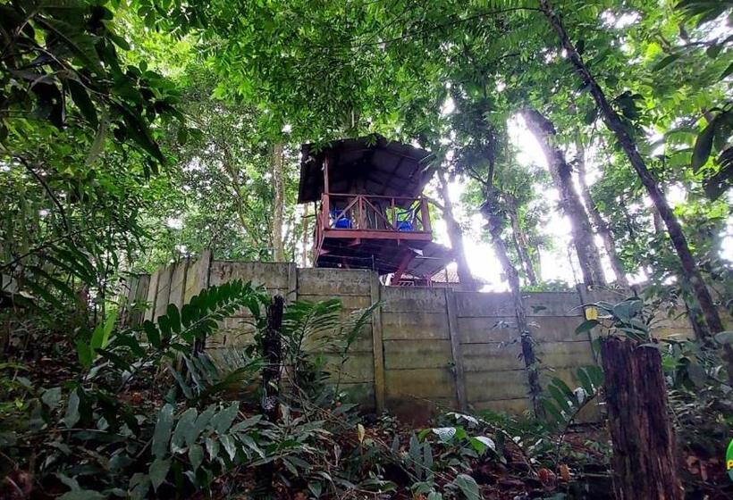 ペンション Perla Verde, Hostel Sarapiquí A Lodging In The Middle Of Nature