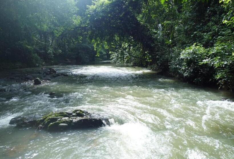 ペンション Perla Verde, Hostel Sarapiquí A Lodging In The Middle Of Nature