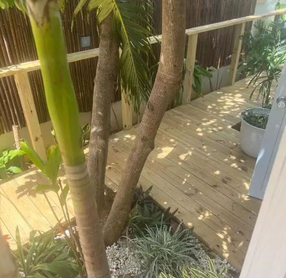 هتل Bella Noni B&b