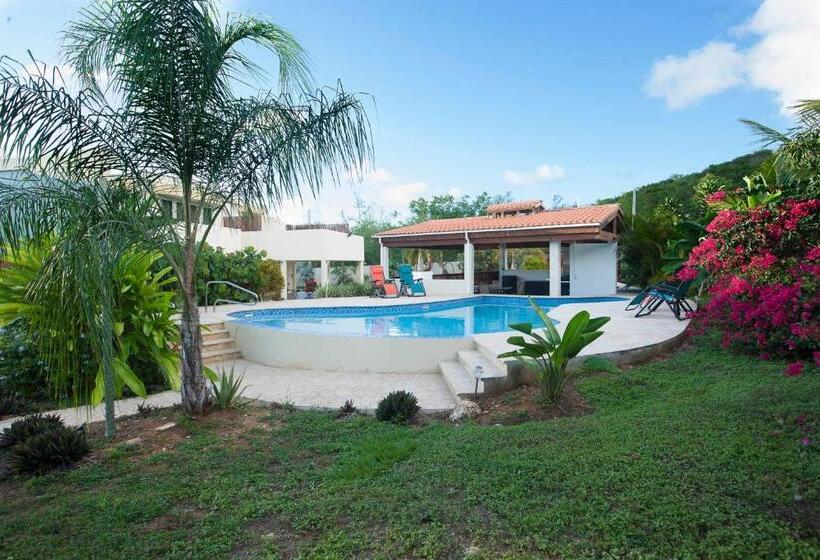 هتل Bella Noni B&b