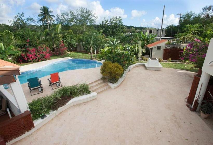 هتل Bella Noni B&b