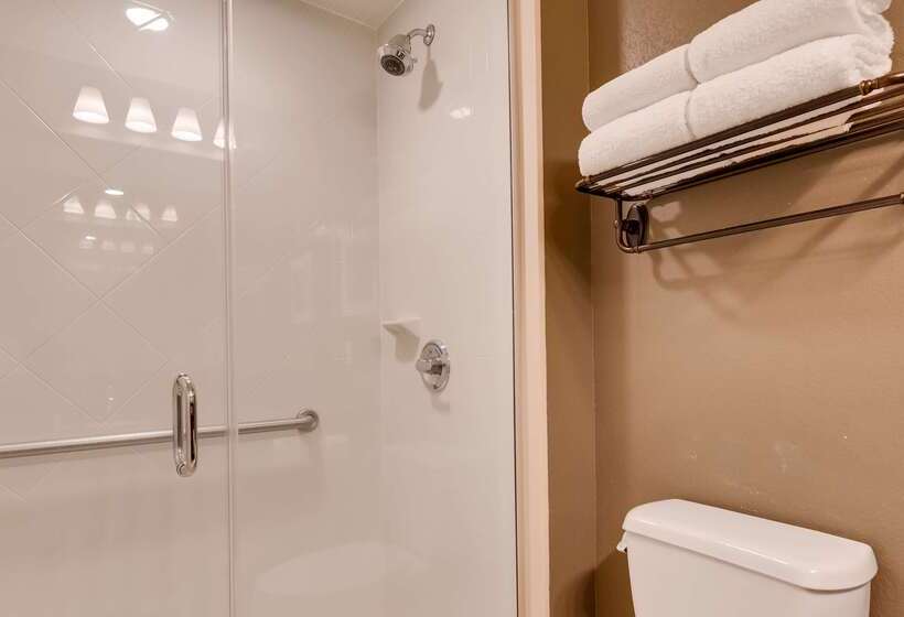 Best Western Plus Chandler Hotel & Suites