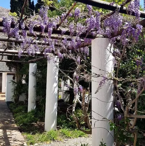 Montagu Little Sanctuary Hot Spring Access At Reduced Price