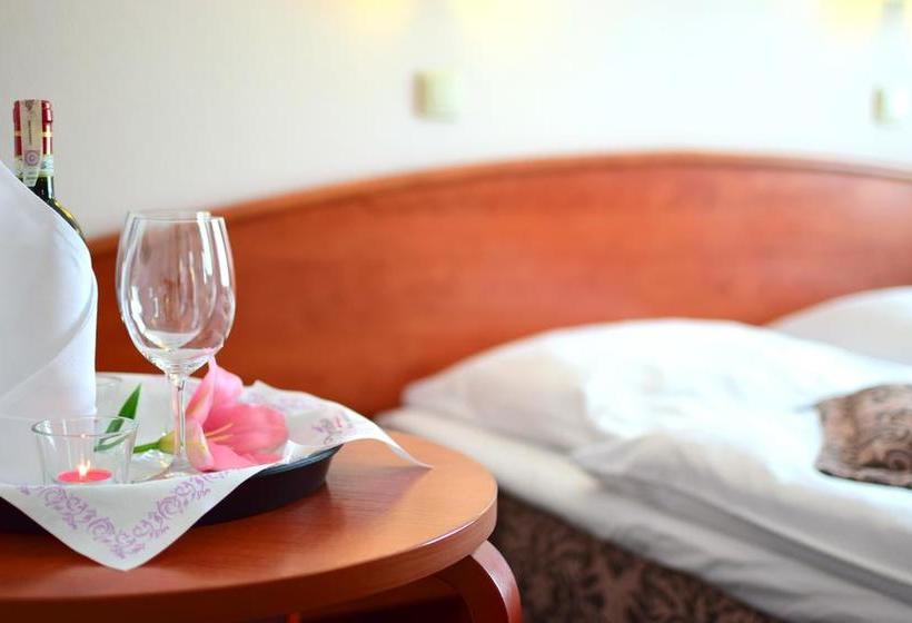 酒店 Panorama Nowy Sącz