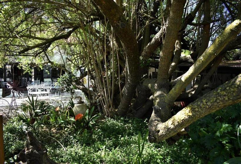 酒店 The Red Tin Roof