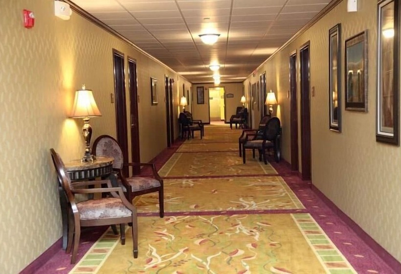 فندق Salvatores Grand