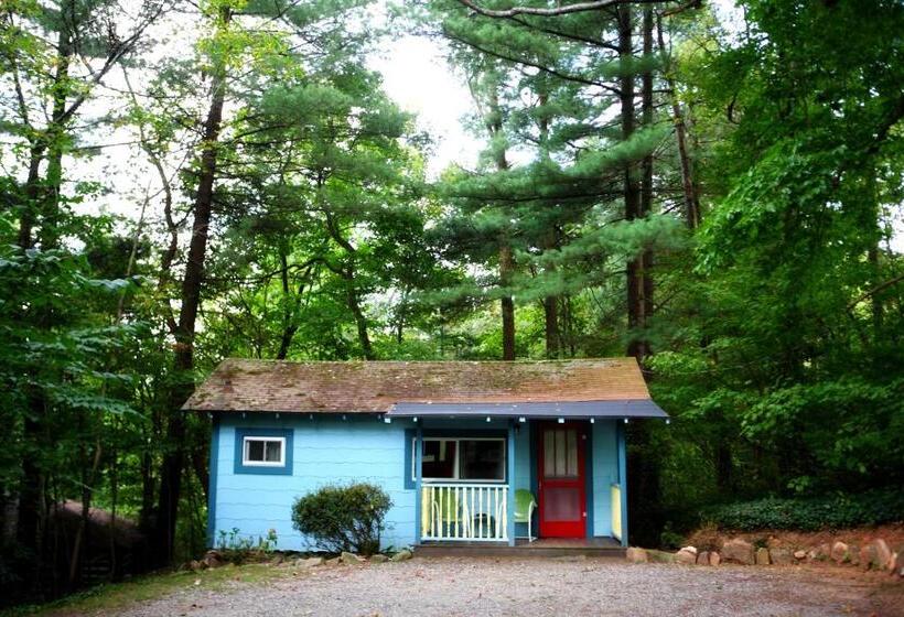 ホテル The Pines Cottages