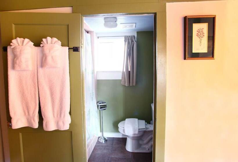 ホテル The Pines Cottages