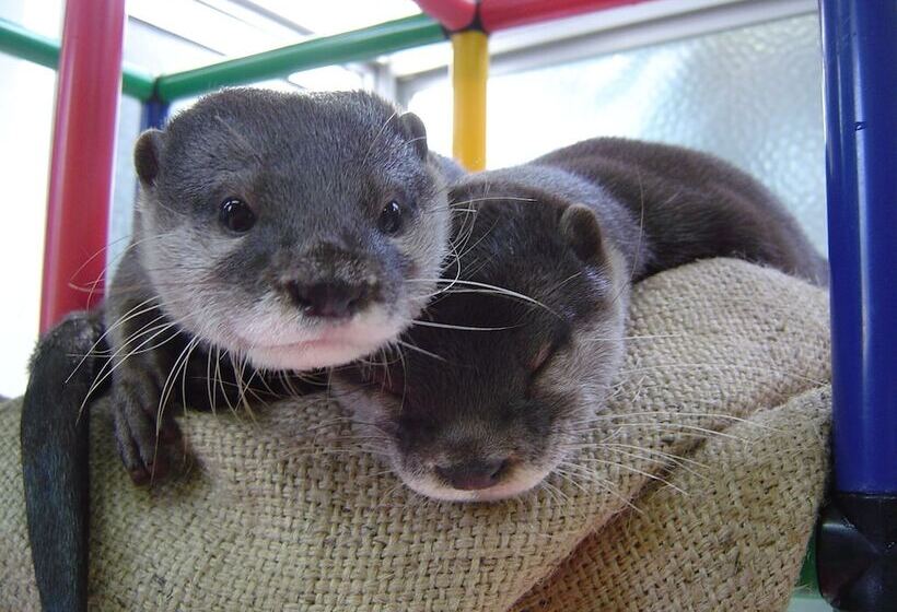 Yukai Resort New Maruya Hotel Bekkan