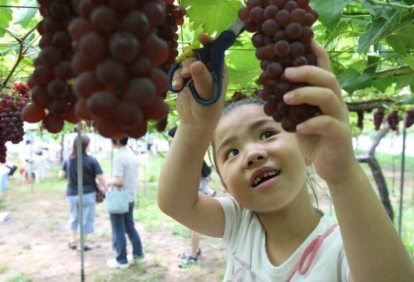 Yukai Resort New Maruya Hotel Bekkan