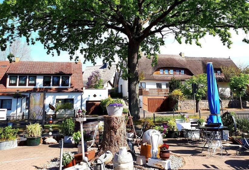 Общежитие ück   Dorfgasthof Swienstall