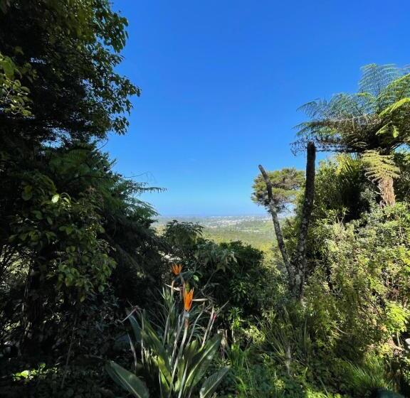 민박 Swanson Waitakere Stay In Scenic Sunrise