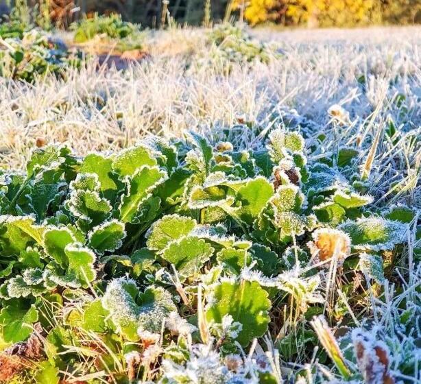 호텔 Wanderlust Experience