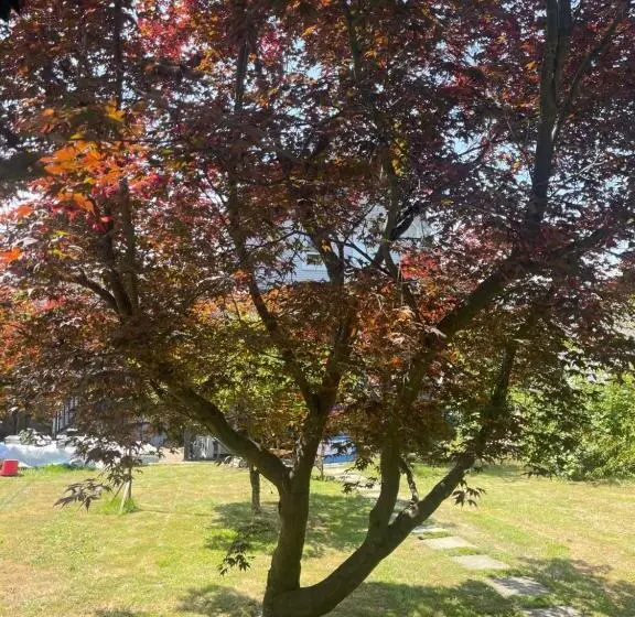 پانسیون Downtown N. Vancouver Lane Home