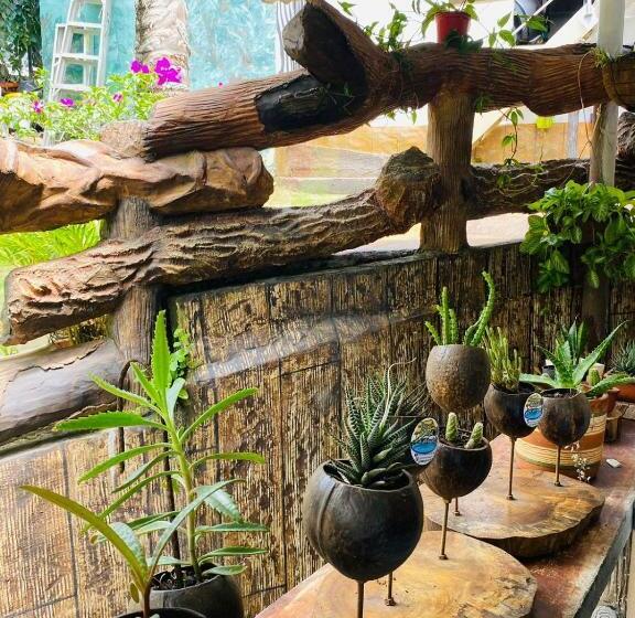 بنسيون Piscina Natural Las Mercedes