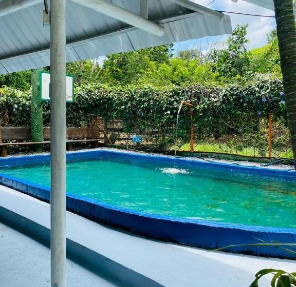 بنسيون Piscina Natural Las Mercedes