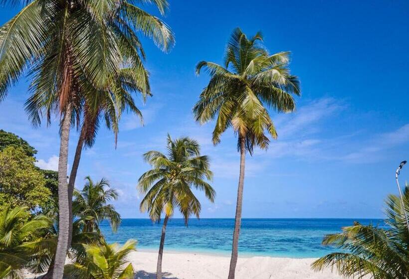 هتل Akomadoo Retreat