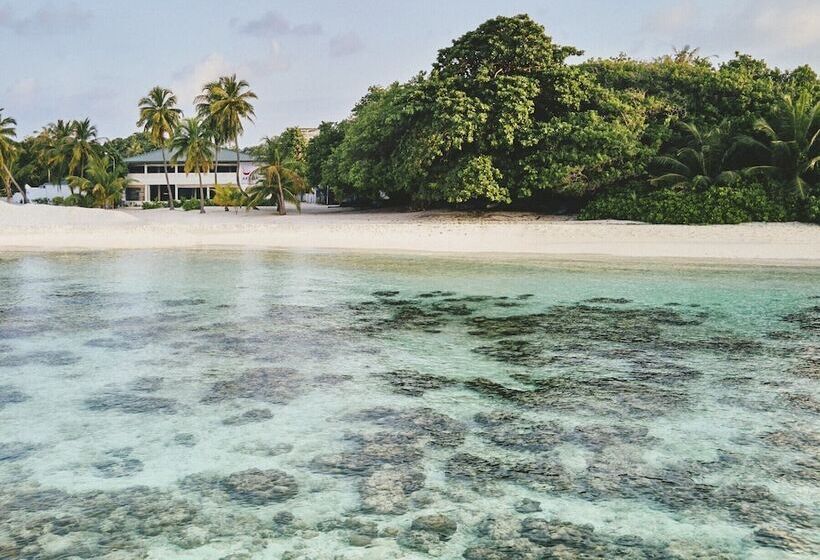 هتل Akomadoo Retreat