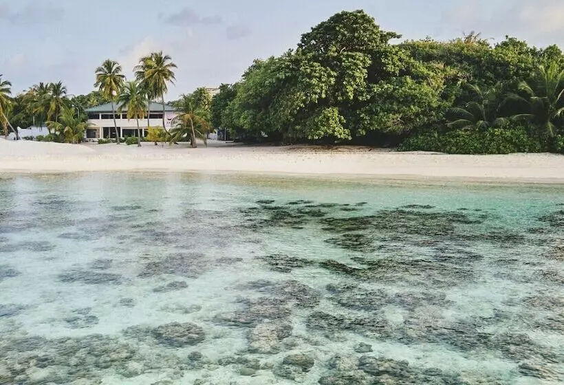 هتل Akomadoo Retreat
