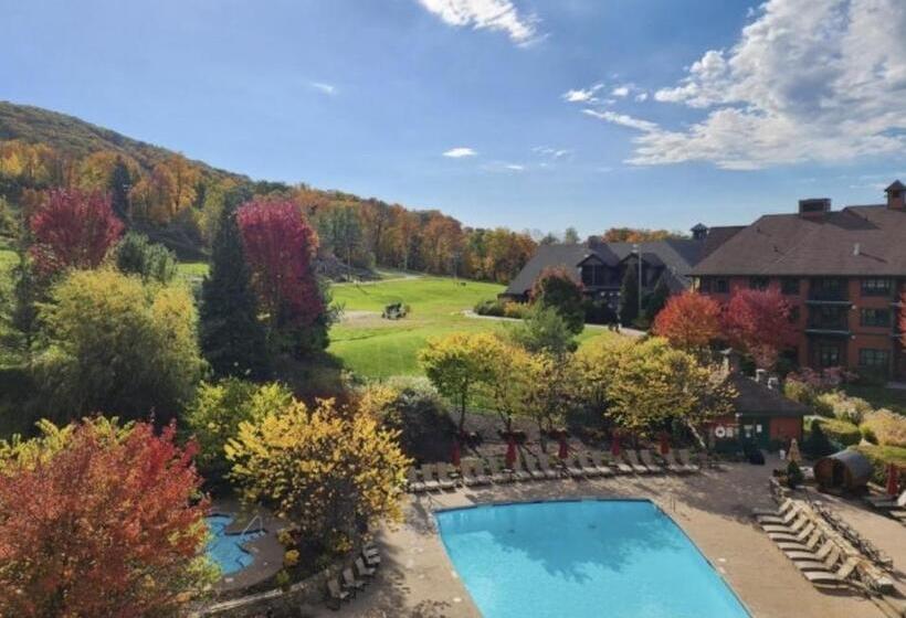 Отель Cozy Mountain View Condo