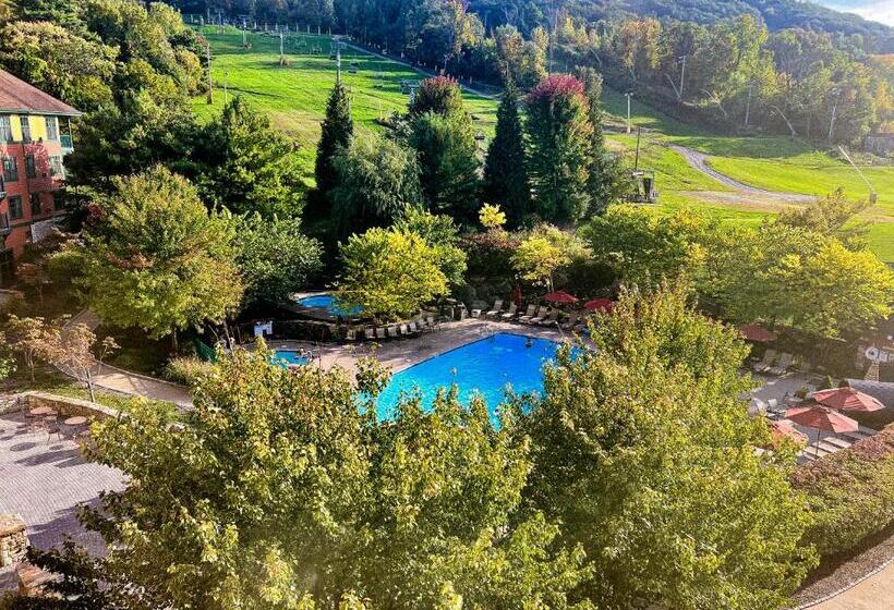 Отель Cozy Mountain View Condo