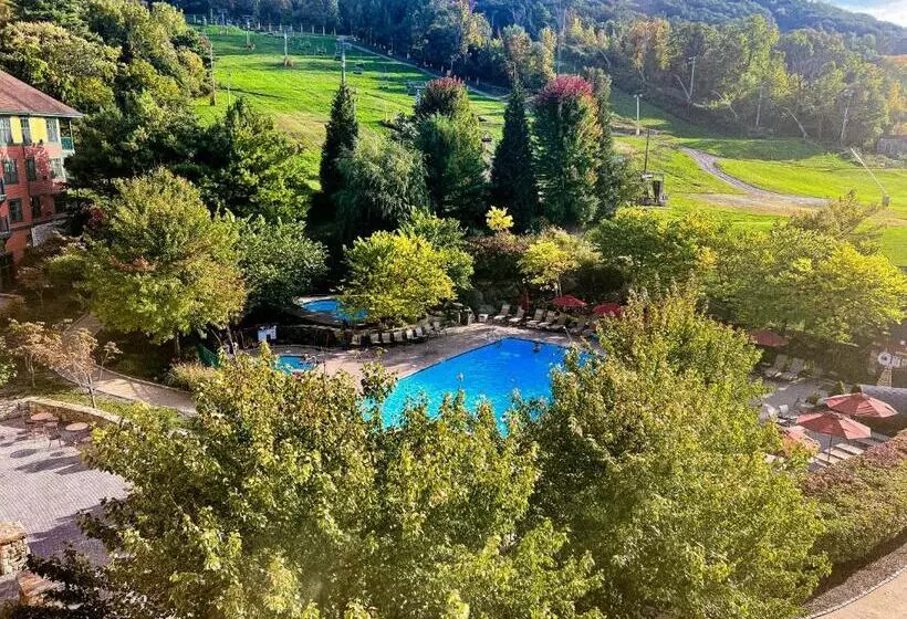 Hotelli Cozy Mountain View Condo