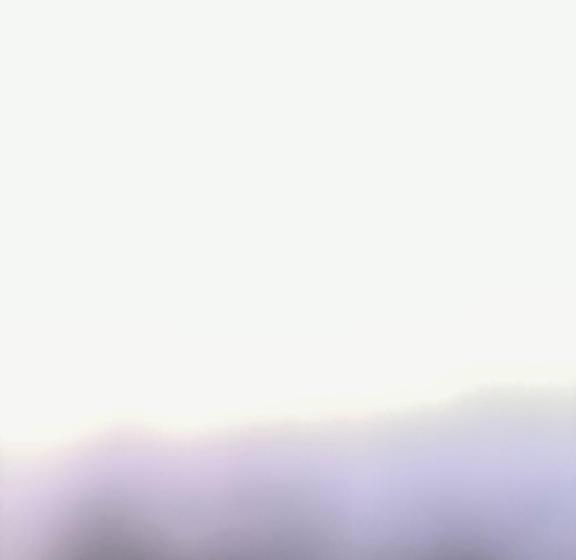 胶囊酒店 81 Causeyware Road