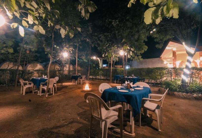 酒店 Saalwood Safari Lodge