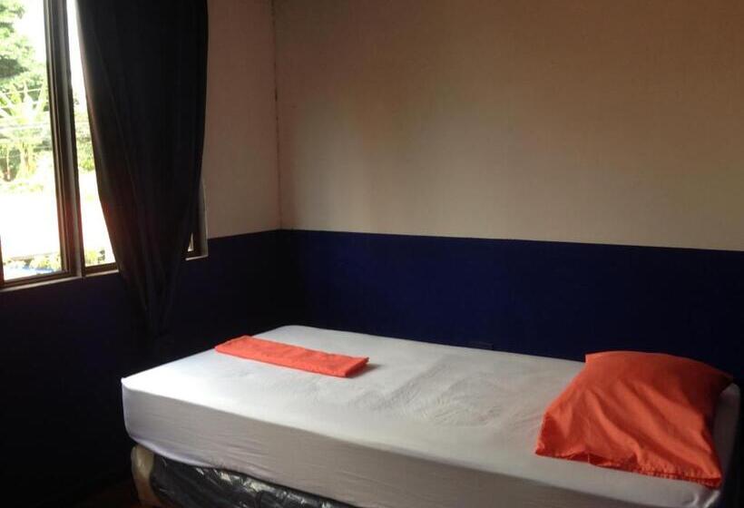 بنسيون 2003 Hotelelcacique 2013 Sjoairportlodge 2019 Coffee Bean Lodge