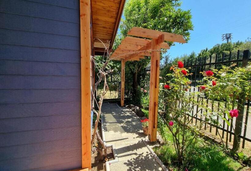 بنسيون Blue House Cabaña Departamento Habitación