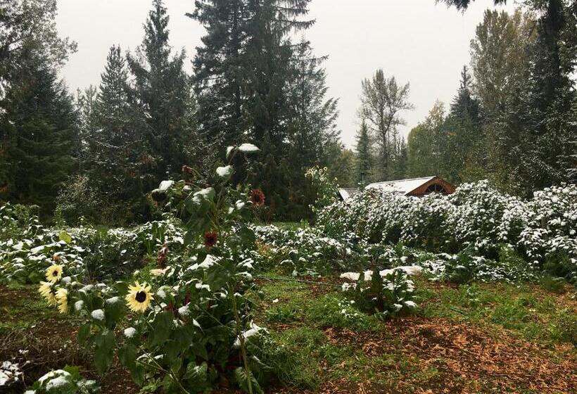 펜션 Cutest Little Cabin In The Woods