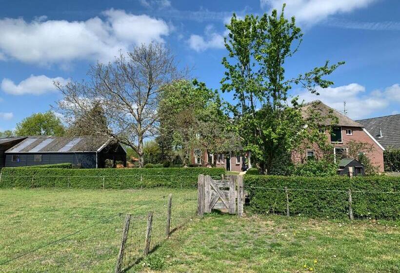 Bed and Breakfast Hoeve Zandbelt