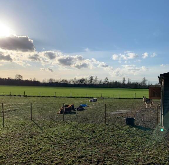 Bed and Breakfast Hoeve Zandbelt