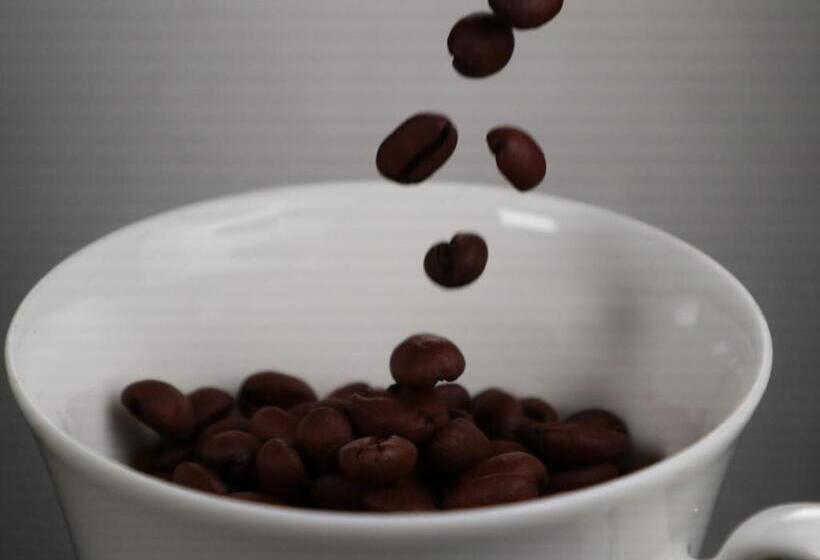 Business Ryokan Iroha