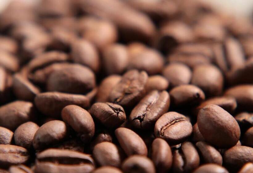 Business Ryokan Iroha