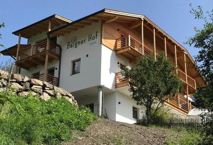 酒店 Balgnerhof