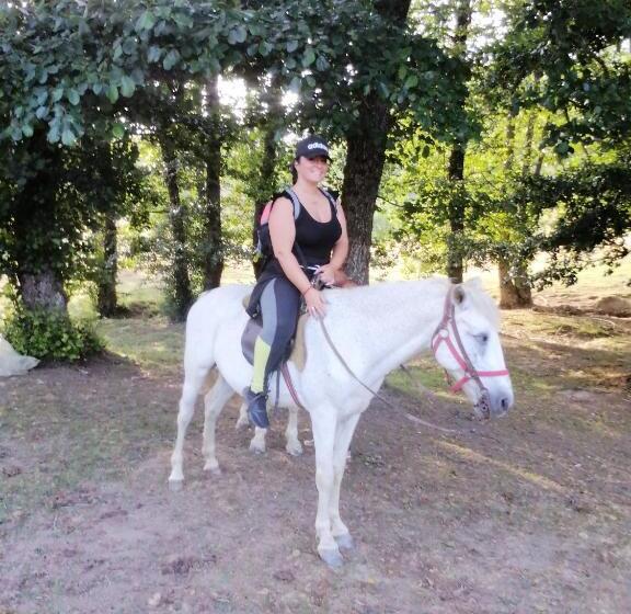 هاستل Kuća Dragović Apartman